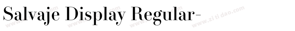 Salvaje Display Regular字体转换